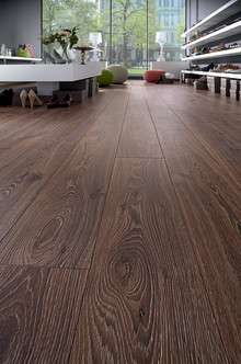 ROBUSTO: the decor Timeless Oak (D 3590)